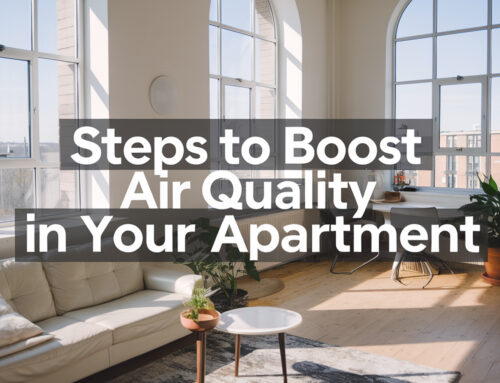 Simple Steps to Boost Air Quality in Your Apartment